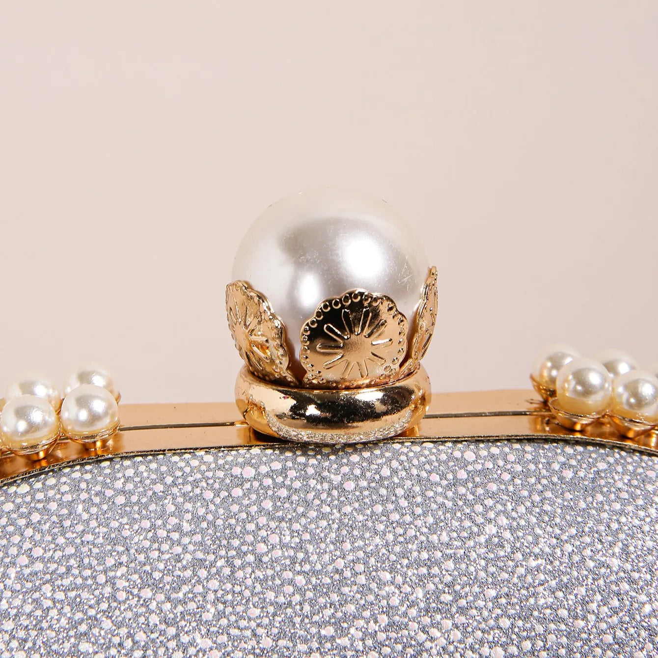 Evening Bag