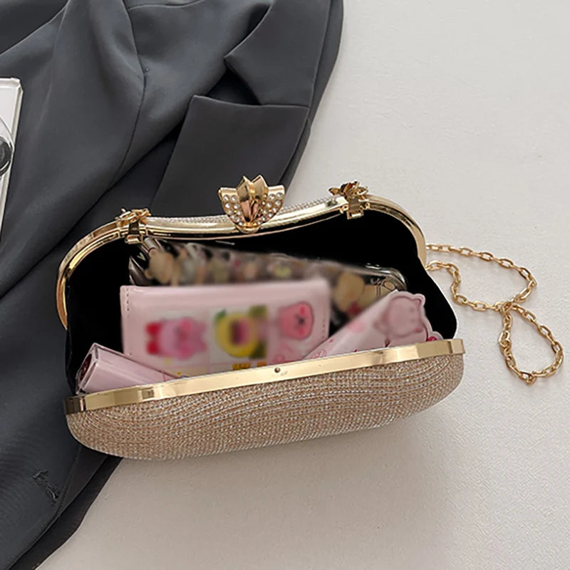 Shiny Bag